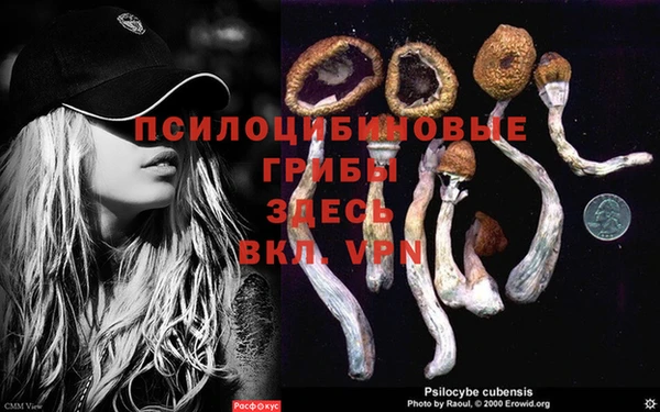дживик Нефтегорск